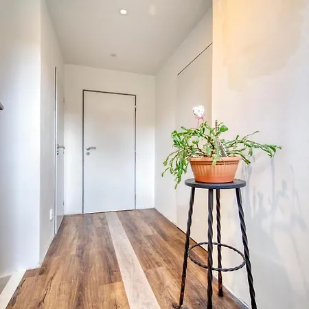 Σπίτι διακοπών Party Dum Velichov